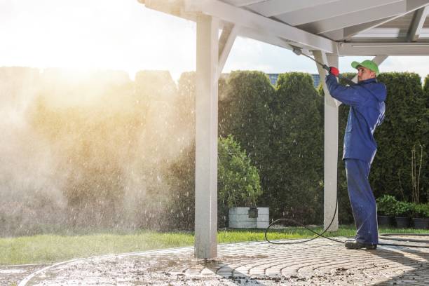 Professional  Pressure Washing Services in Escatawpa, MS