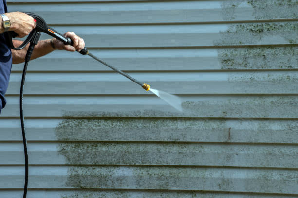 Best Patio and Deck Pressure Washing  in Escatawpa, MS